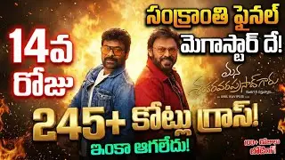 Mana Shankara Vara Prasad Garu Box Office Collection 🔥 | Chiranjeevi MSVPG WW Total Collections