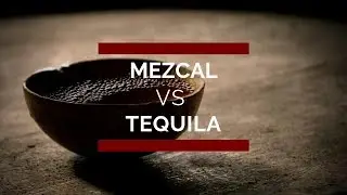 Mezcal vs Tequila, Principales Diferencias. ¡ Conócelas !