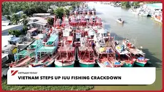 Вьетнам усиливает борьбу с ННН-промыслом | Vietnam Today