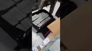 Billets de banque trouv&eacute;s au domicile du Pr&eacute;sident Doudannais d&eacute;chu B&eacute;chir.