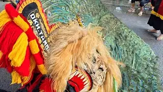 DAHSYATNYA ❗ ATRAKSI REOG PONOROGO NGAMUK GEGERKAN BUMI NGIJO LEMBAH BABADAN PUKAU PENONTON👍