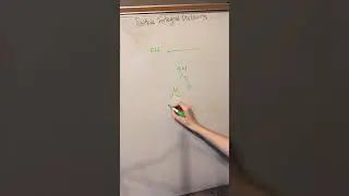 Positive Integral Divisors