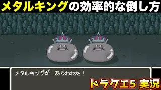 メタルキング狩り、●●と●●、どっちがいい？【ドラクエ5 実況069】
