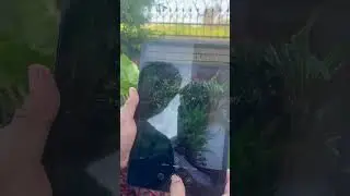 Huawei Matepad SE 11 camera testing