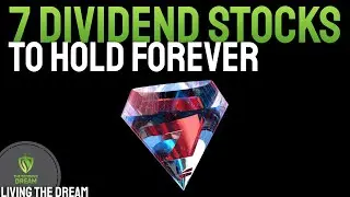 Top 7 Dividend Growth Stocks - Evaluating Top Buy & Hold Individual Stocks