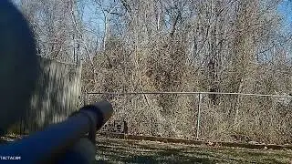 semi auto marauder plus tacticam solo. 40 shots, 40 hits. most fun rifle they make.