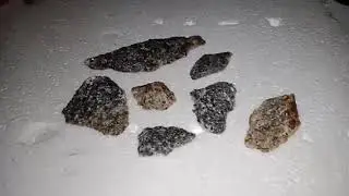THE MOST EXPENSIVE STONE FOUNDED IN THE FOREST