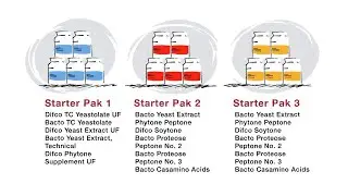 The Benefits of Peptones - Animated Video