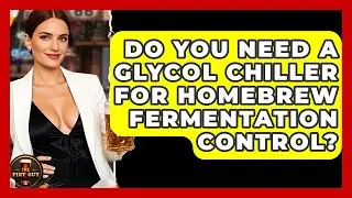 Do You Need A Glycol Chiller For Homebrew Fermentation Control? - The Pint Guy