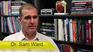 Principal Investigator Appreciation of Research Administrators