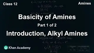 Basicity of Alkyl amines | Amines | Class 12 | Chemistry | NCERT | Khan Academy