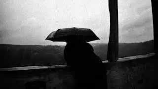 Luther - Stummer Vogel