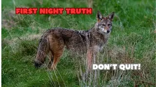 First Time Night Hunting Coyotes? Do This Instead