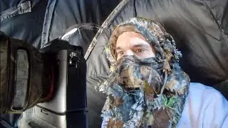 2 Day Backyard Bird Photography Session in Blind | Wildlife Photography | Winter Birds