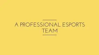Welcome To Team Lethal