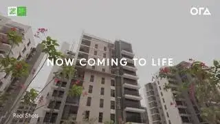 Live from ZED El Sheikh Zayed By Ora Developers