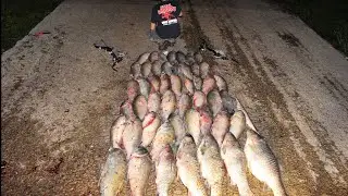 Bowfishing the Tennessee River with Fatal Impact Guided Bowfishing! (BIG Grass Carp and Buffalo)