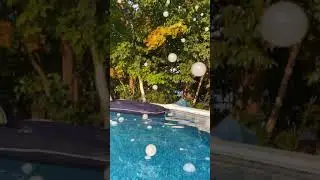 Chauvet Haze bubble Hurricane and pool