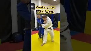 Ещё один вариант подсечки в разноименных стойках. #judo #judolife #ashiwaza #kenkayotsu