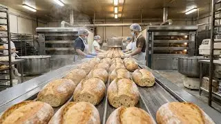 How Bread Is Made in Factories | Inside the Industrial Bakery | Factory Lens