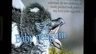 Penguin's Family iPad App Review