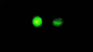 WiLL - green i i