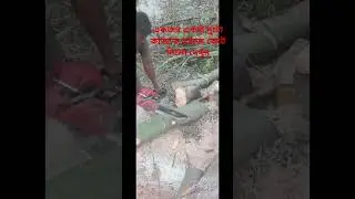 #tree cutting #tree cutting machine # alone cutting the tree#cutter mashine #tree cutting skills#