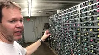 Ball Pythons 2019 #2  Breeding Facility Ball Python room tour