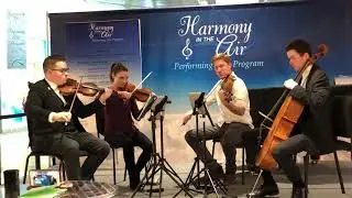 Divisi Strings