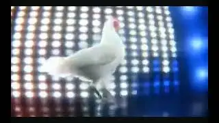 Cock Dance Video