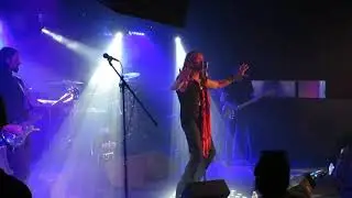 CAN'T SHAKE THE BLUES Apocalypse Blues Revival Benefit for Savannah Buddha Live Ft. Myers 5/30/21