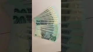 Zimbabwe 20 Dollars Animal Theme @worldcurrencyhunt #unboxing #animals #rare #currency #billetes