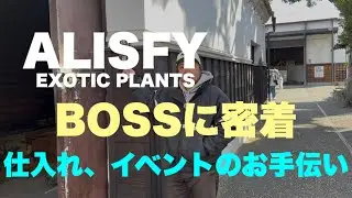 [Plant Art] Close-up on BOSS, Purchasing, Event Assistance