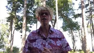 Sustainable Island Development ~ Logistics in Remote Island Development 501c3 Organization