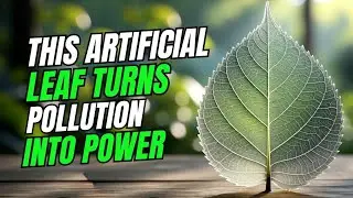 This Artificial Leaf Turns Pollution Into Power #tech #technology #innovation #viralvideo 