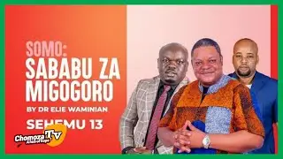 Dr.Elie V.D Waminian (Sababu Za Migogoro Sehemu Ya 13) Umbea Sumu!