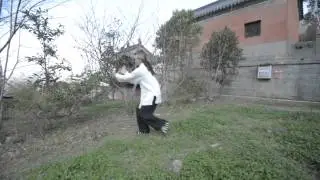 Wudang Qi Gong 5 Elements Dragon