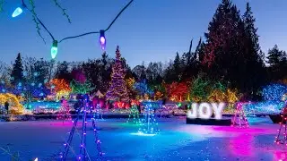 VanDusen Festival of Lights 2022