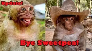 BYE SWEETPEA!! YOU ARE OUR FRIEND FOREVER WE LOVE YOU, WE MISS YOU.