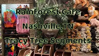 Tracy Tree Animatronic Compilation