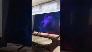 Barney the Tv border collie wants to help Donkey