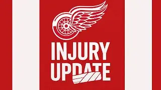 Carter Bear & Simon Edvinsson Injury Update | Detroit Red Wings News