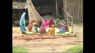 System of Wheat Intensification and Bihar Innovation Forum