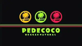 Pedecoco ERGA-SE