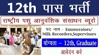 12th Pass Government Jobs | 12th Pass Jobs | Sarkari Result 2019 | सरकारी रिजल्ट |Freejobalert 2019