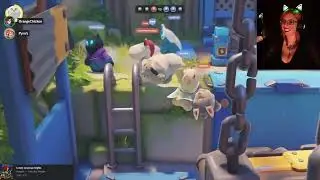 Pyro's Bday Celebration with Party Animals