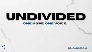 Undivided (week 3)
