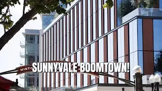 Silicon Valley BOOMS! Plus Legal Expansion & Future Office Trends!