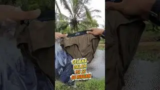 celana dalam pria isi 12 harga 60 ribuan saja #cd #celanadalam #dalamanpria