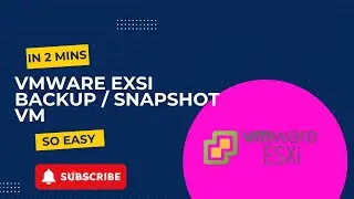 How to Take Snapshot or Backup of VM in VMware ESXi | Step-by-Step Guide